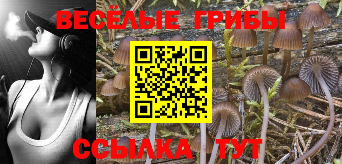 Галлюциногенные грибы GOLDEN TEACHER Кудрово